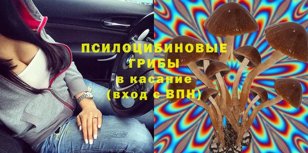 spice Алексеевка