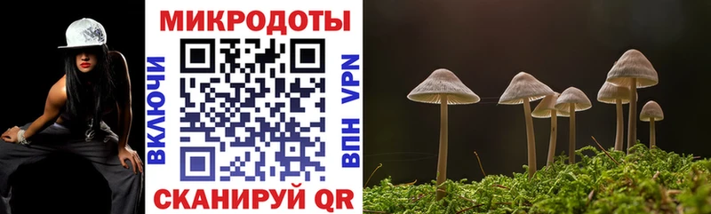 купить наркоту  Кизел  Псилоцибиновые грибы прущие грибы 